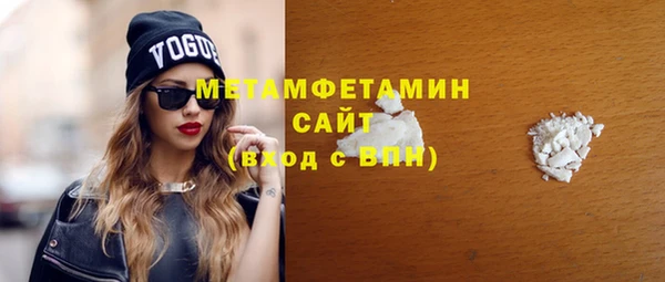 гашик Ельня