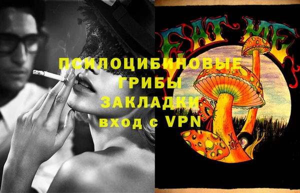 гашик Ельня