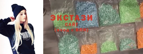 гашик Ельня