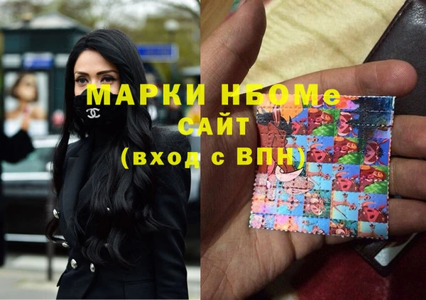 гашик Ельня