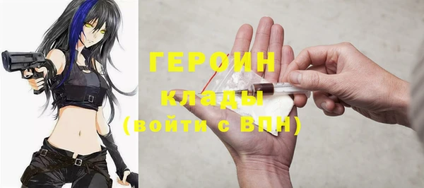 гашик Ельня
