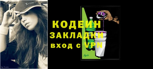 гашик Ельня
