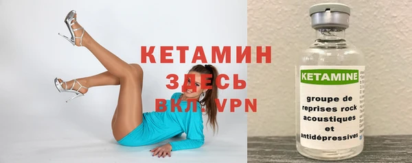 гашик Ельня