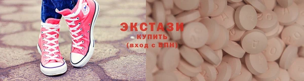 гашик Ельня