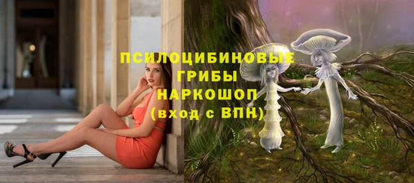 соль курить ск Елизово