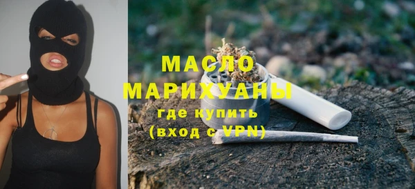 гашик Ельня