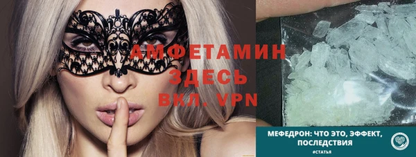 гашик Ельня