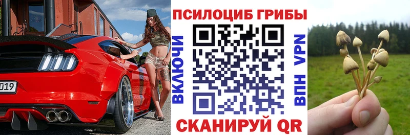 Галлюциногенные грибы прущие грибы  Купить закладки  Среднеколымск 